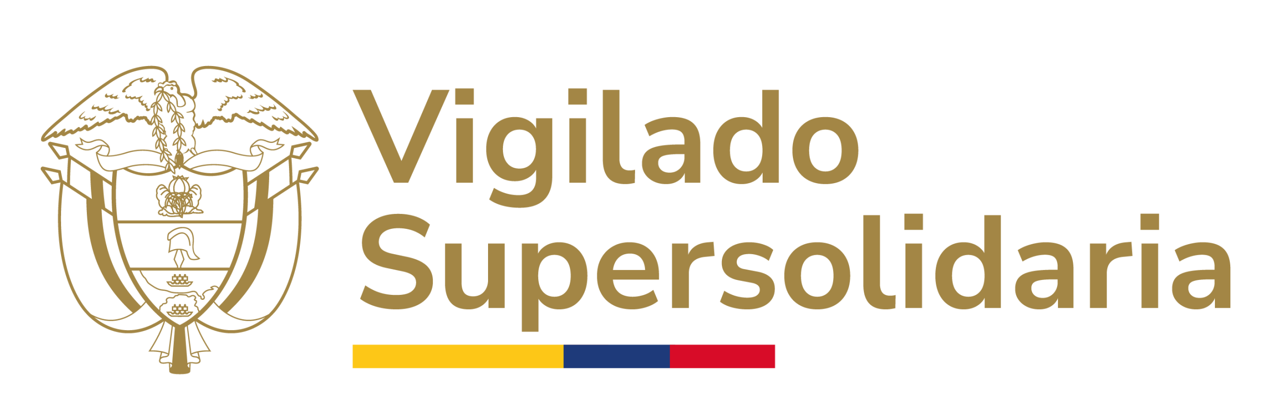 Superintendencia de la Economía Solidaria